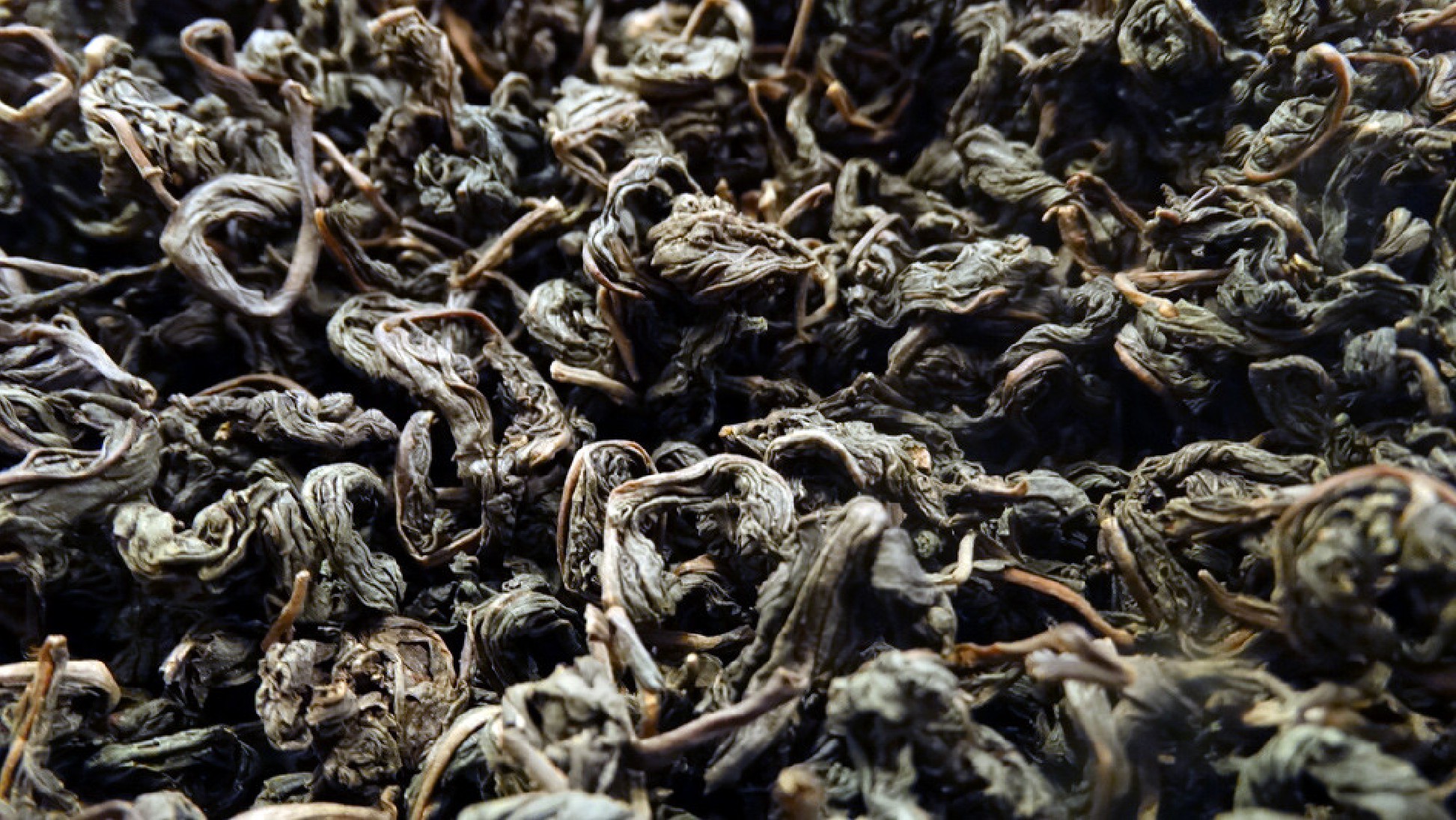 rare infusion de cérémonie japon hydrangea par tea & cie magasin de thé en ligne rare infusion de cérémonie japon hydrangea par tea & cie magasin de thé en ligne