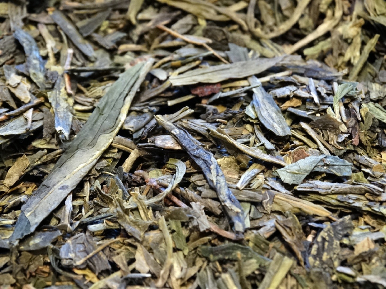 China Hangzhou, premium green tea pure origin