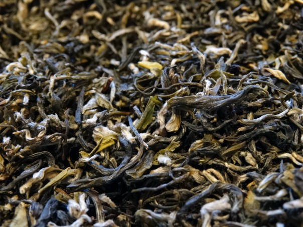 Green tea Pi lo Shun large Formosa Garden