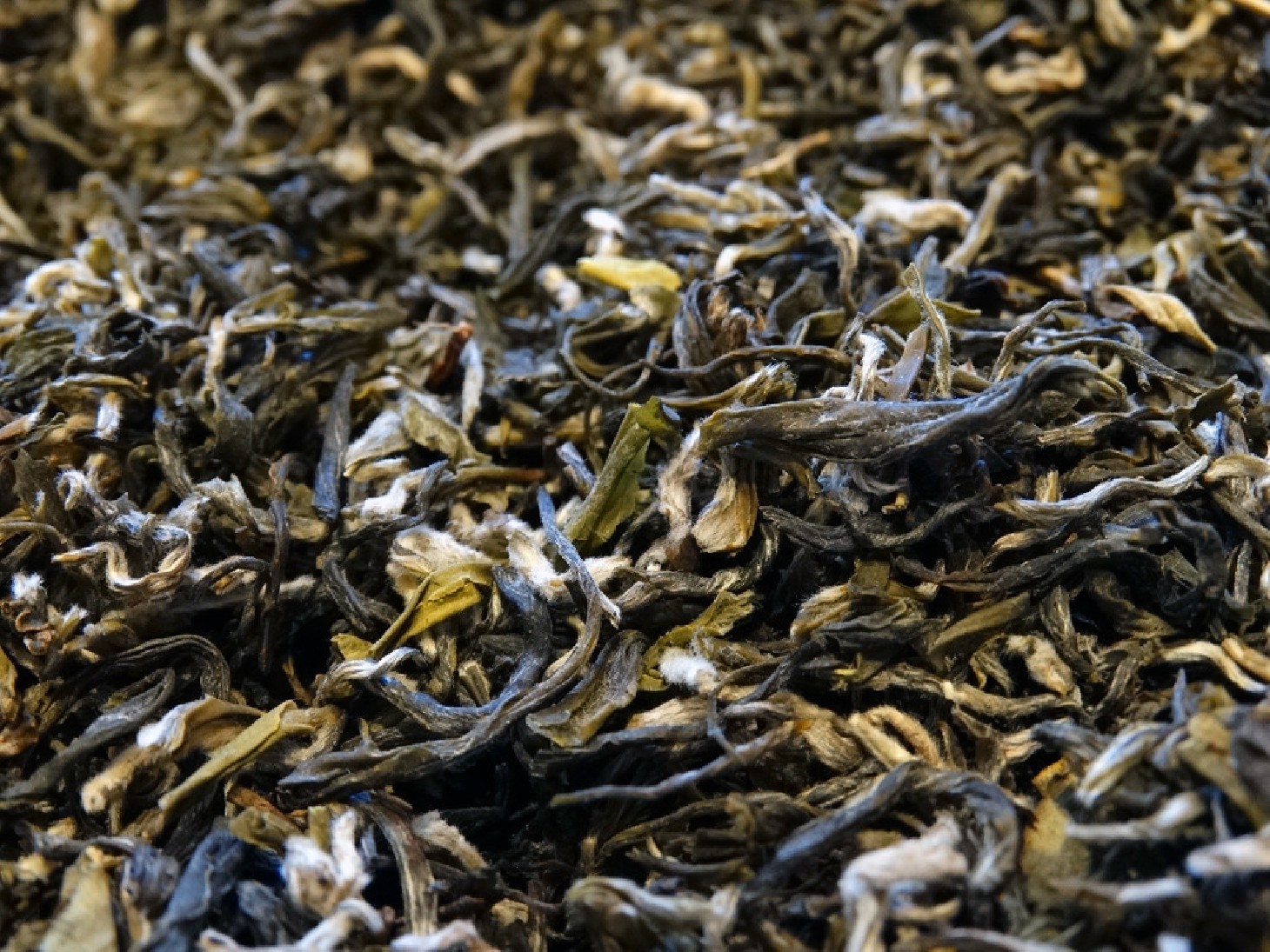 Green tea Pi lo Shun large Formosa Garden Green tea Pi lo Shun large Formosa Garden