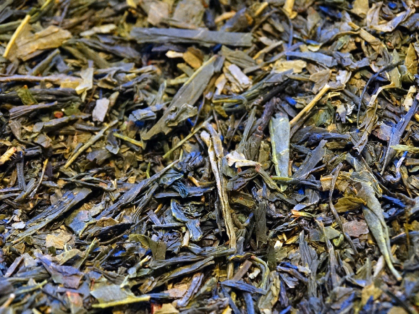 Green tea Sencha from Japan, District of Kakegawa