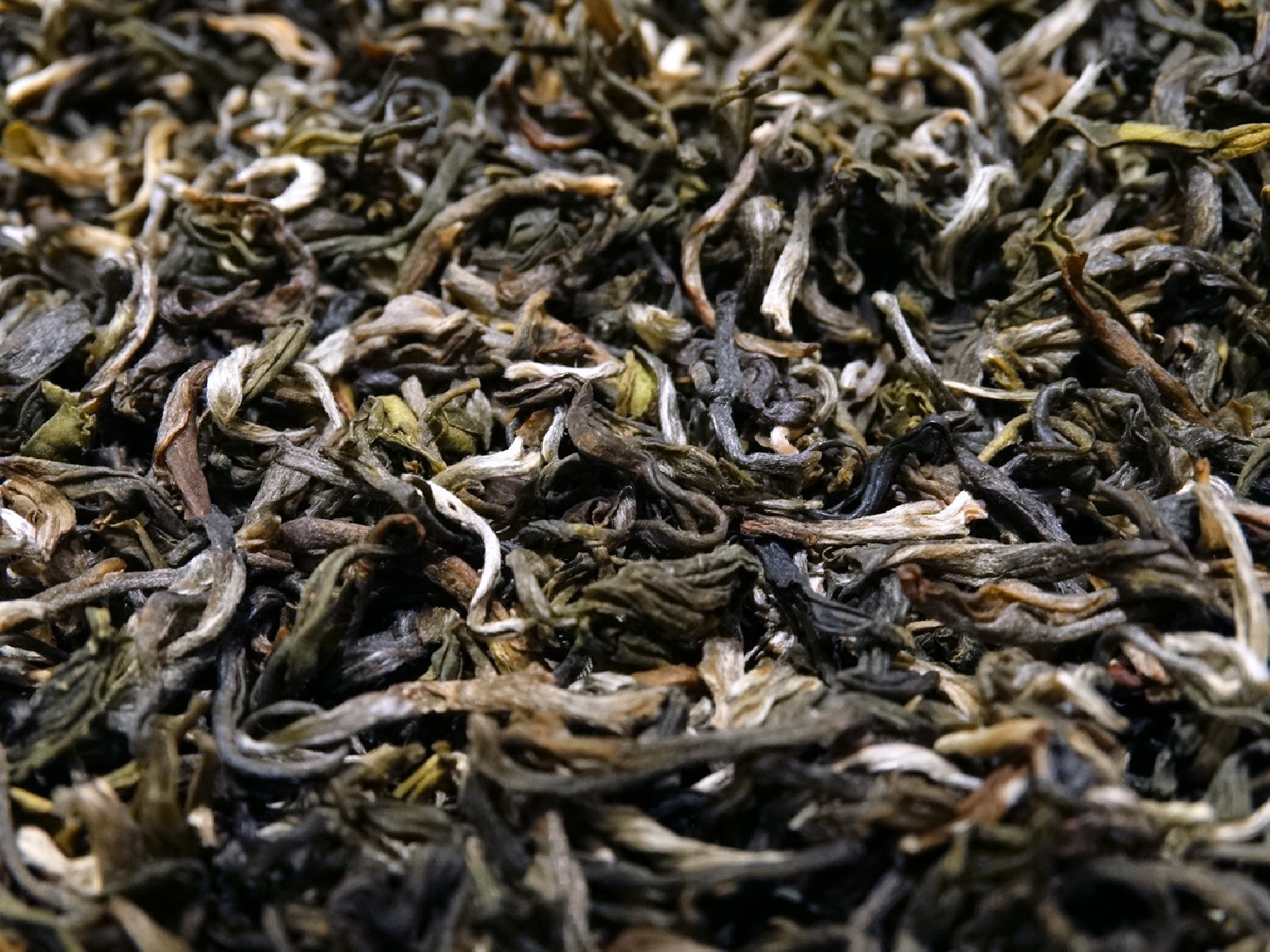thé vert au jasmin d'exception rare sélectionné par Tea & Cie comptoir de thé thé vert au jasmin d'exception rare sélectionné par Tea & Cie comptoir de thé