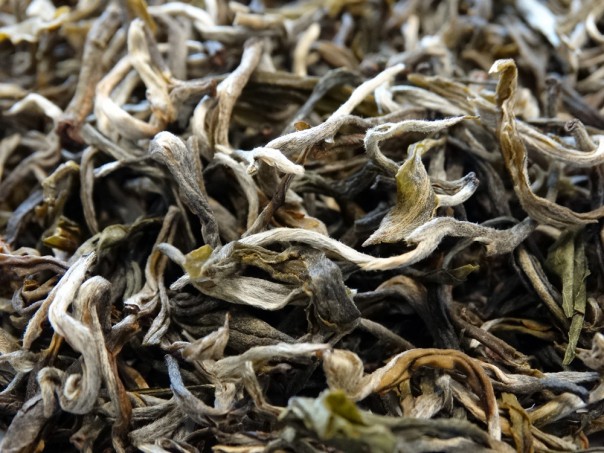 Thé blanc white cui min sélectionné par Tea & cie maison de thé à Vannes golfe du morbihan