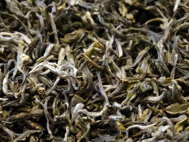 China White tea, Yunnan Province