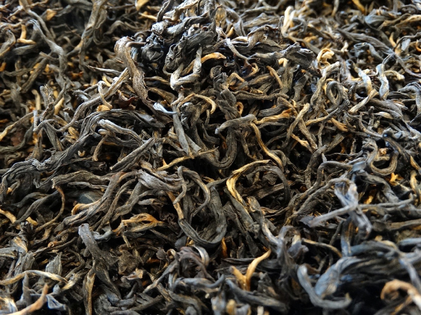 Premium black tea from Great Garden of Nepal