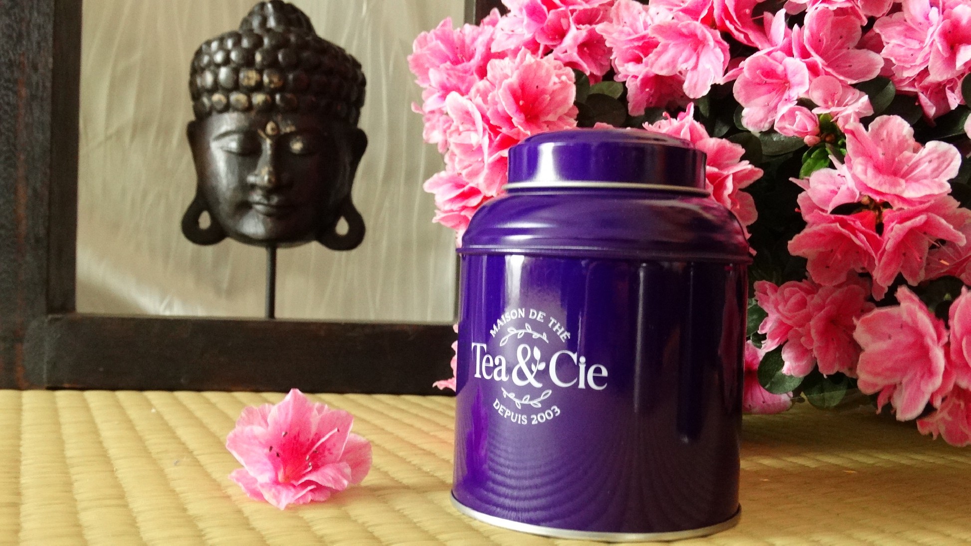 la petite boite jaune violette Tea & Cie www.teacie.com la petite boite jaune violette Tea & Cie www.teacie.com