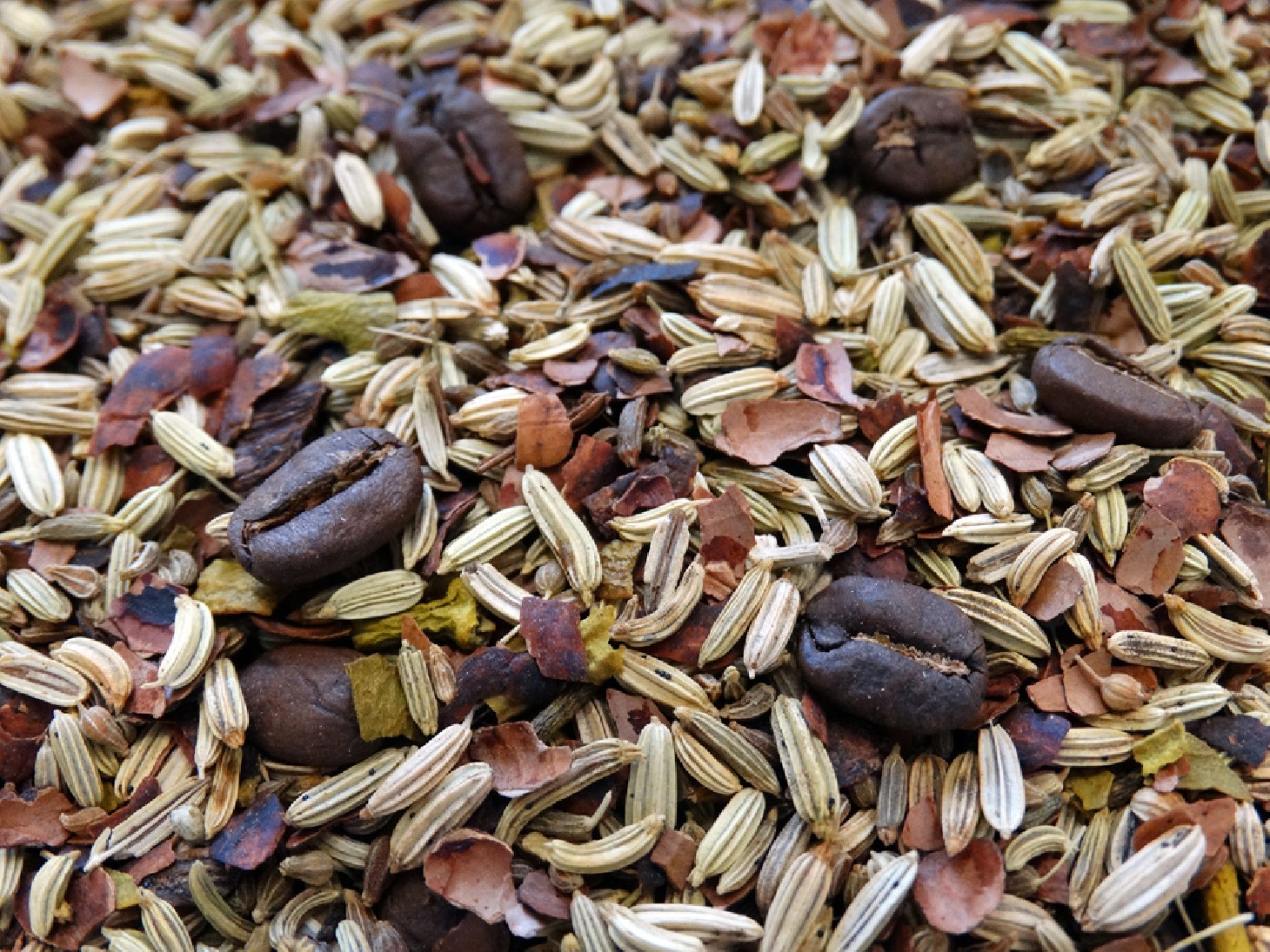 Infusion of Mocha, Anise, Cocoa, Fennel and Vanilla seeds Infusion of Mocha, Anise, Cocoa, Fennel and Vanilla seeds