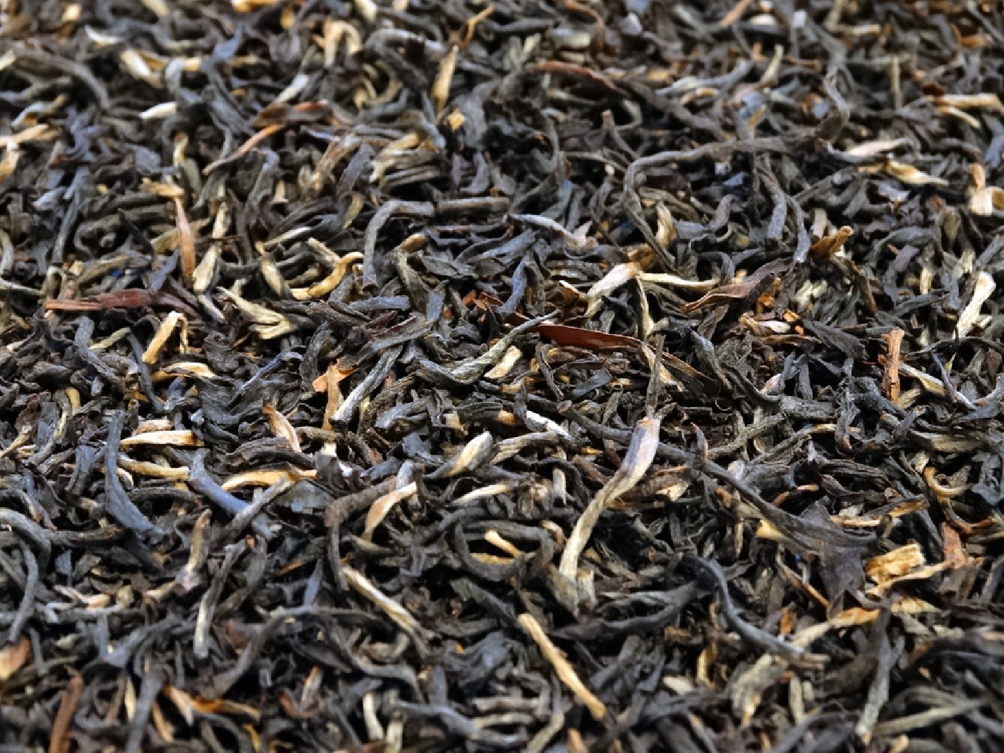 Black Tea, India, Assam