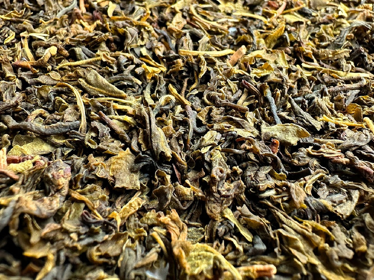 African Green Njombe Lupine FOP Tanzanie thé vert par Tea & Cie African Green Njombe Lupine FOP Tanzanie thé vert par Tea & Cie