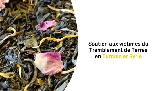 Soutien aux victimes du tremblement de terre en Turquie et Syrie